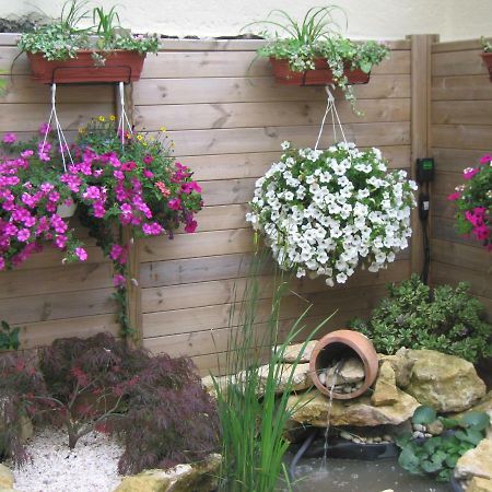 Bed and Breakfast La Chuchotiere Sainte-Maure-de-Touraine Exterior foto